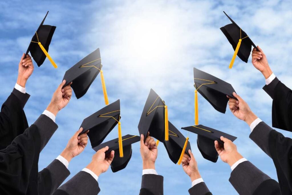 career guidance after graduation for freshers