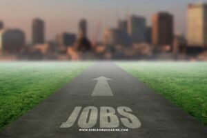 Best courses after 12th commerce for girl